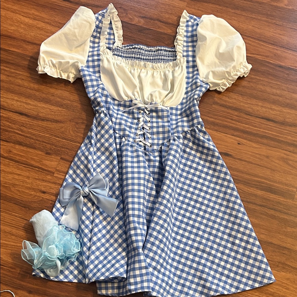 The Wizard of Oz Dorothy inspired costume